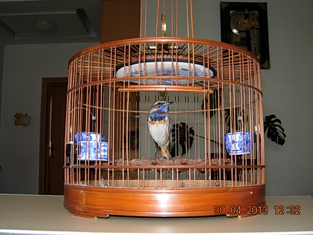 DSCN2206.JPG