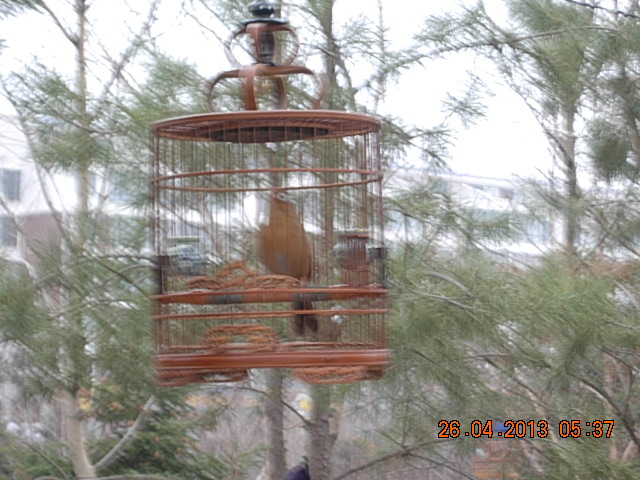 DSCN2075.JPG