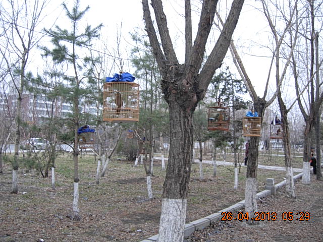 DSCN2048.JPG