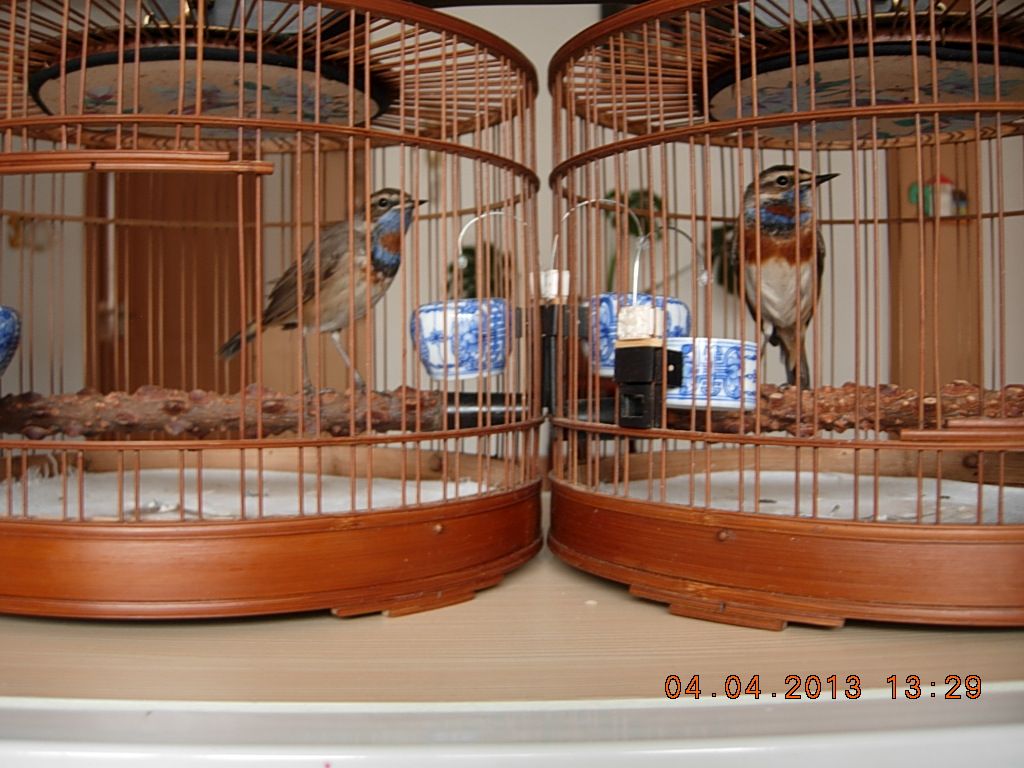 DSCN1373.jpg