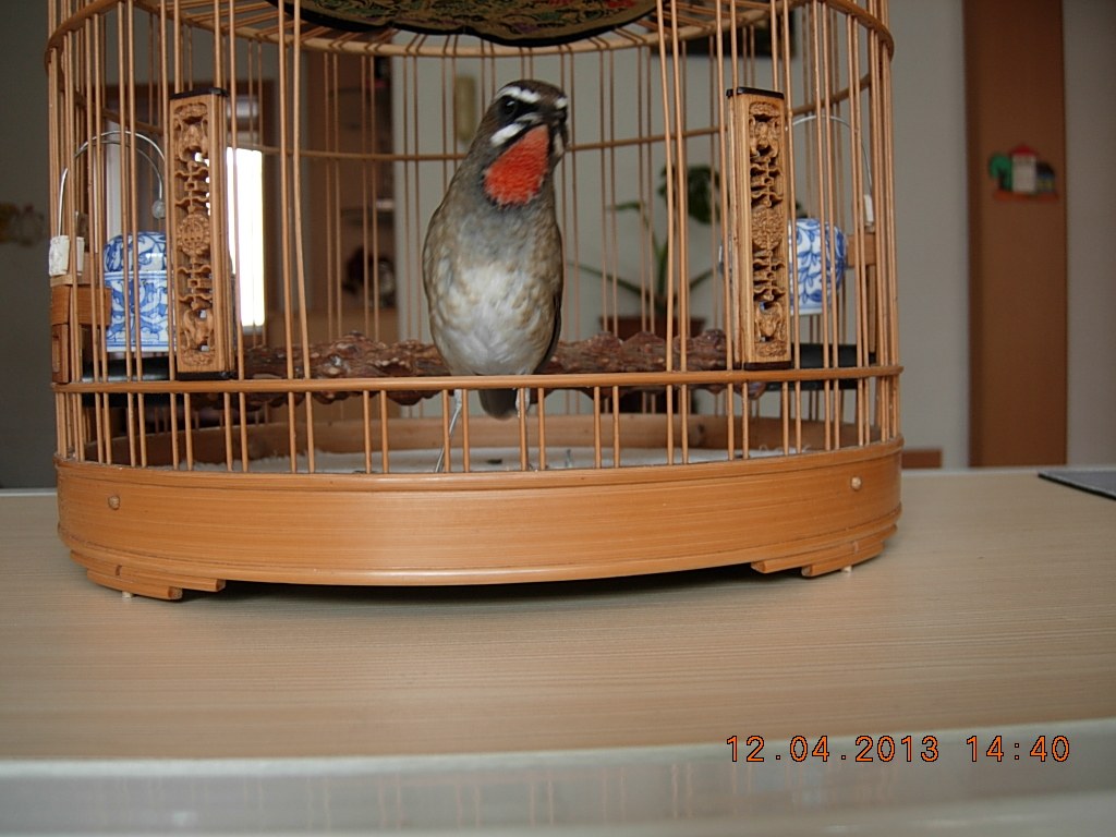 DSCN1501.jpg