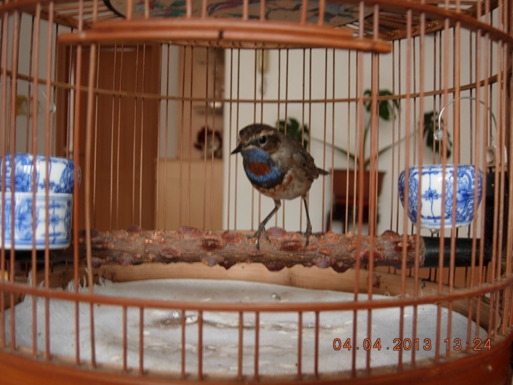 DSCN1360.jpg