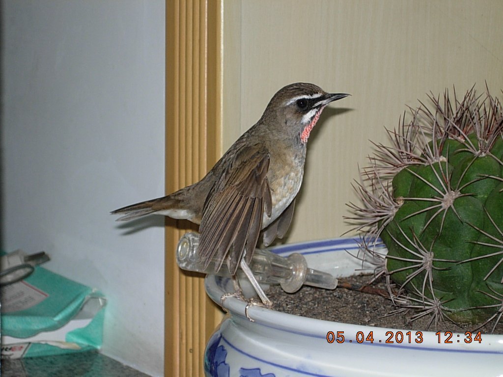 DSCN1469.jpg