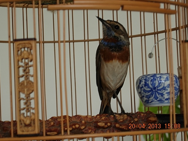 DSCN1664.jpg