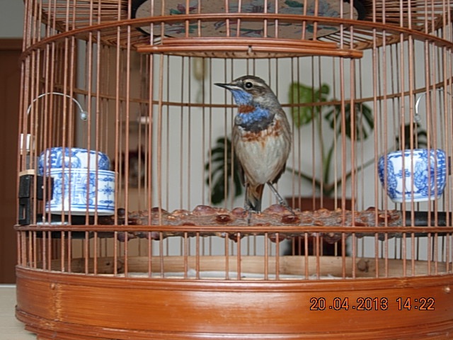 DSCN1604.jpg