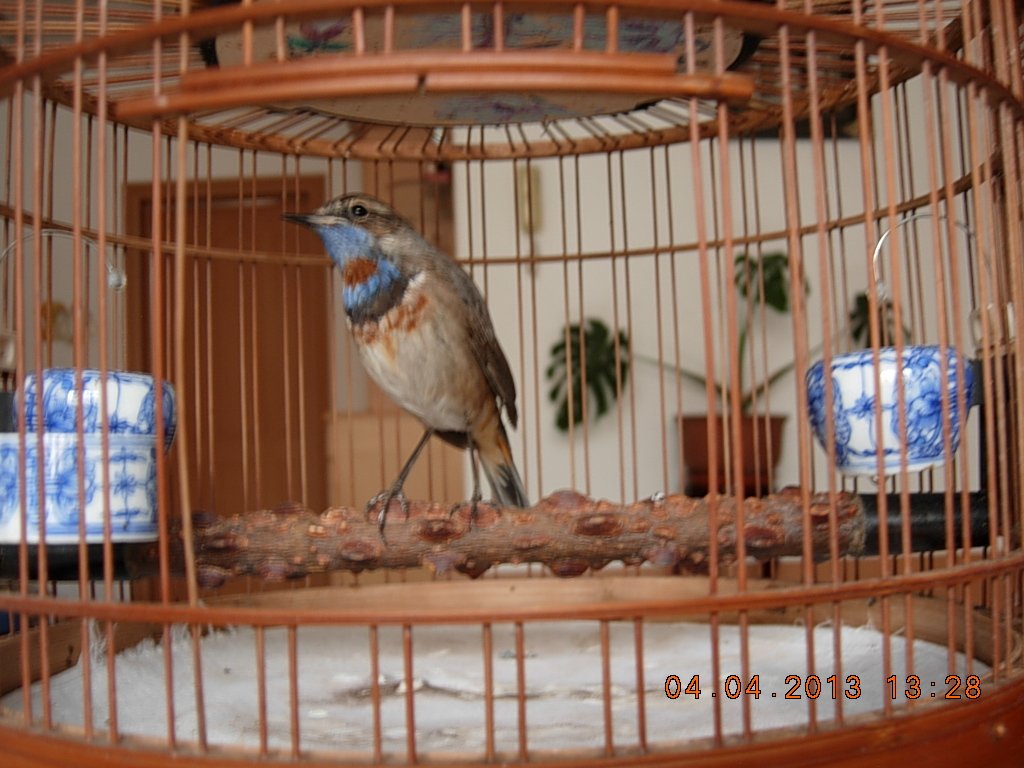 DSCN1370.jpg