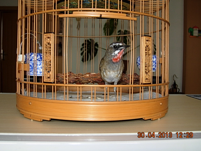 DSCN2194.JPG