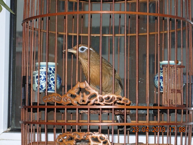 DSCN1801.JPG