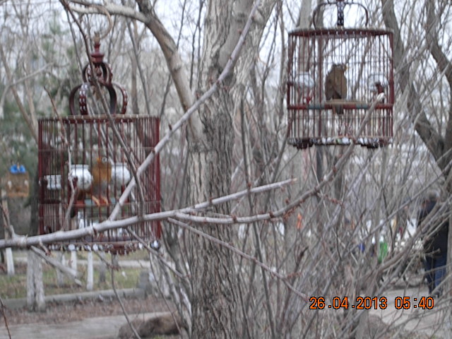DSCN2083.JPG