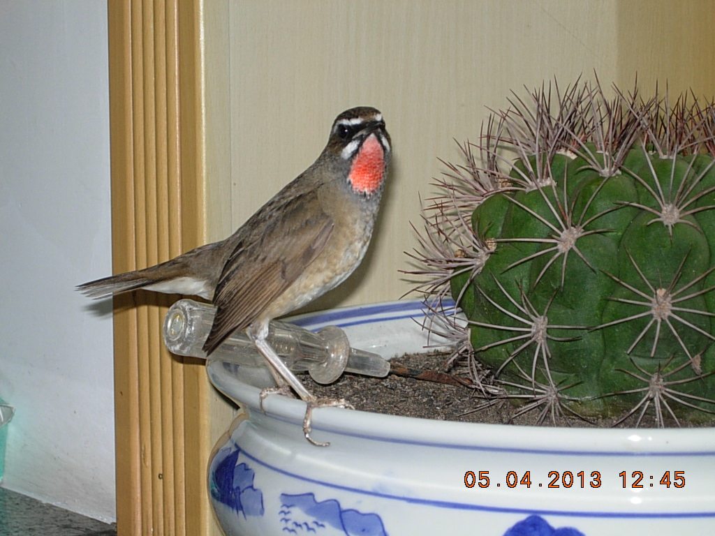 DSCN1491.jpg