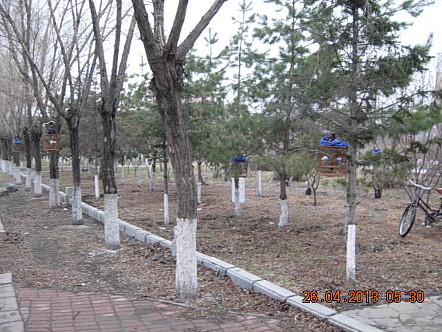 DSCN2049.JPG