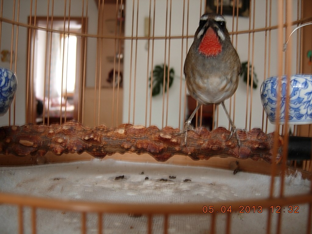 DSCN1464.jpg