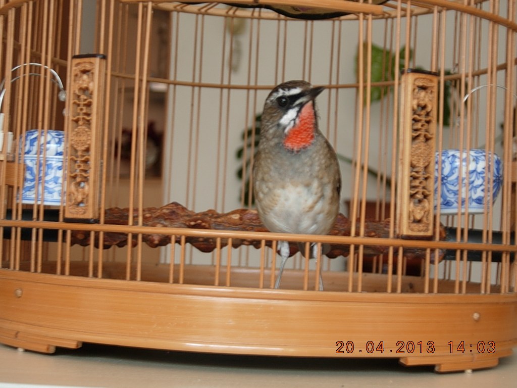 DSCN1573.jpg