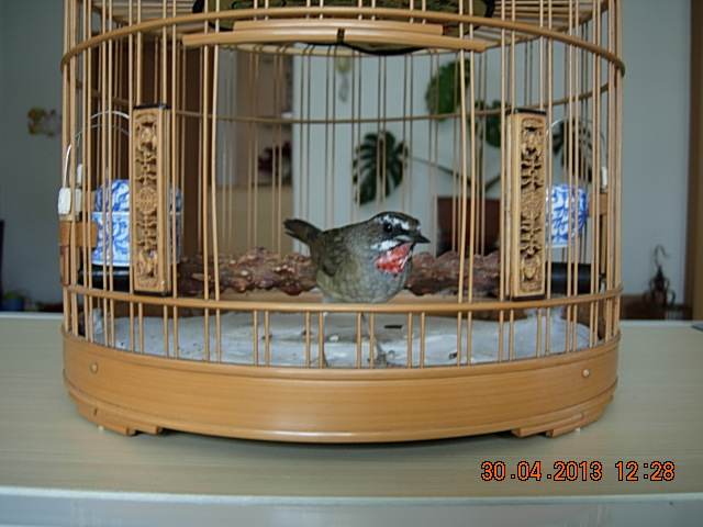 DSCN2189.JPG
