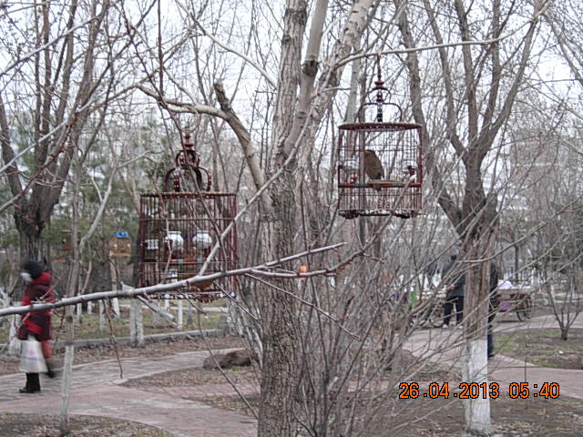 DSCN2081.JPG