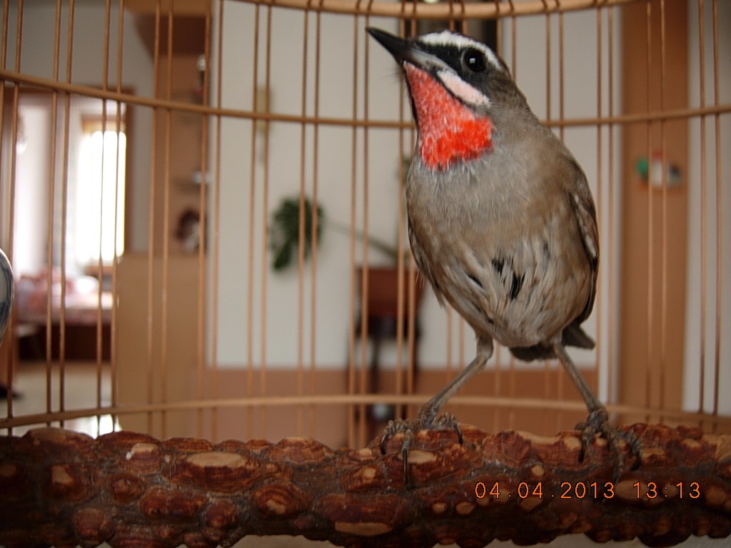 DSCN1329.jpg