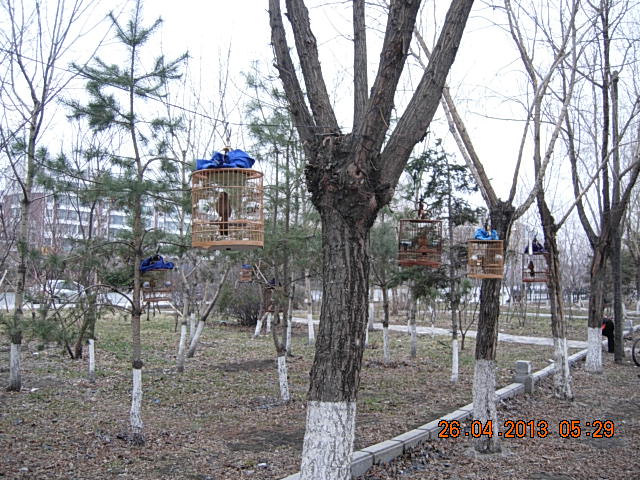 DSCN2047.JPG