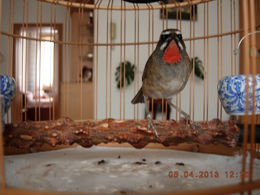 DSCN1445.jpg