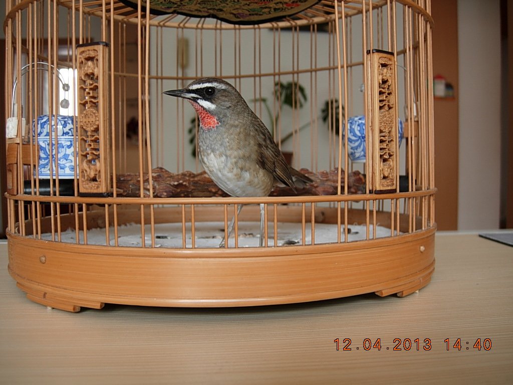 DSCN1502.jpg