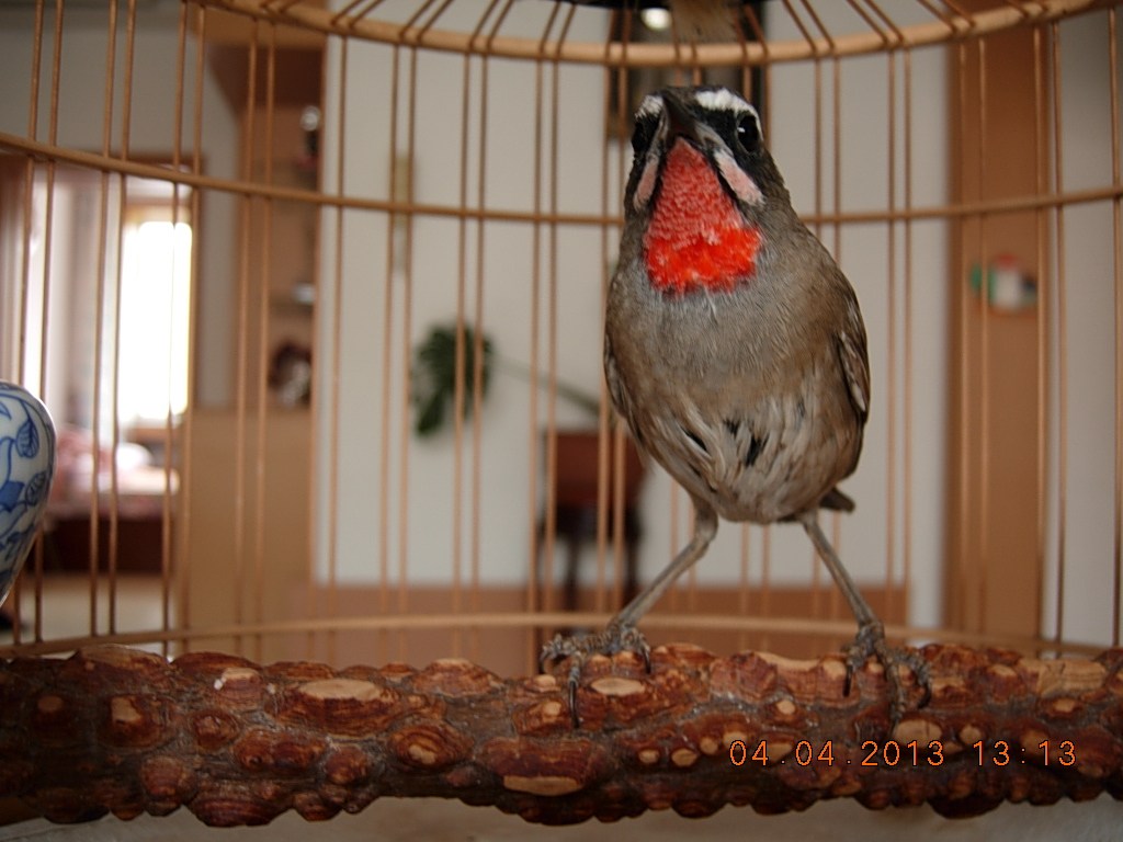 DSCN1328.jpg