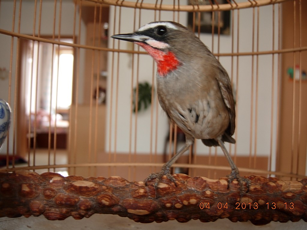 DSCN1332.jpg