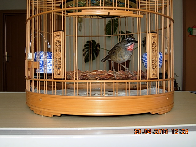 DSCN2195.JPG