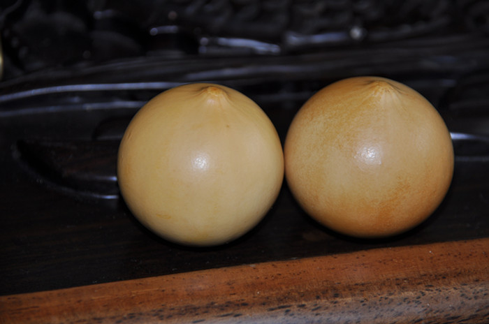 DSC_8016_副本.jpg