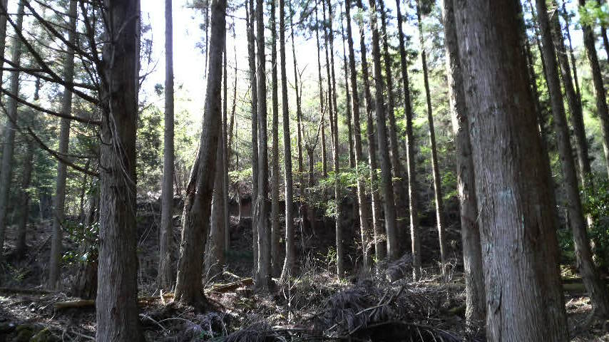 2013041915460001.jpg