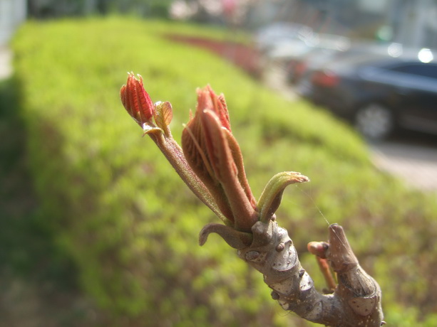 DSCF2304_调整大小.JPG