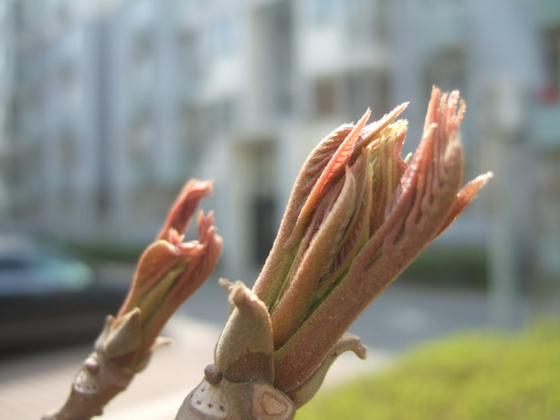 DSCF2303_调整大小.JPG