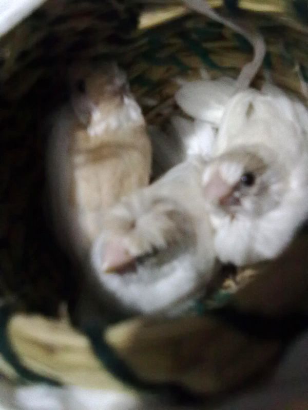 201304181382.jpg