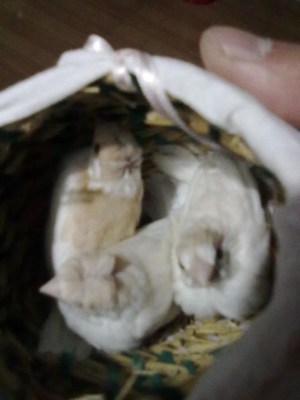 201304181381.jpg