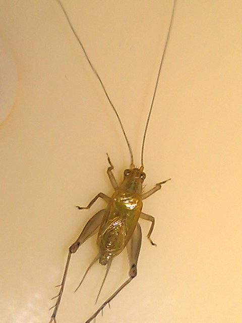IMAG1057.jpg