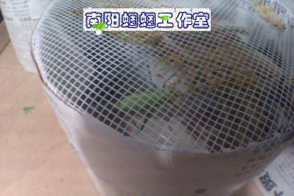 IMAG0448.jpg