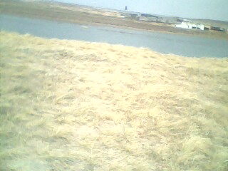 IMG0691A.jpg