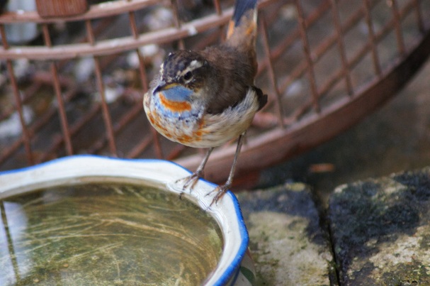 DSC01042.JPG