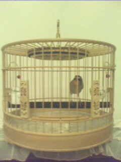 IMG0131A.jpg
