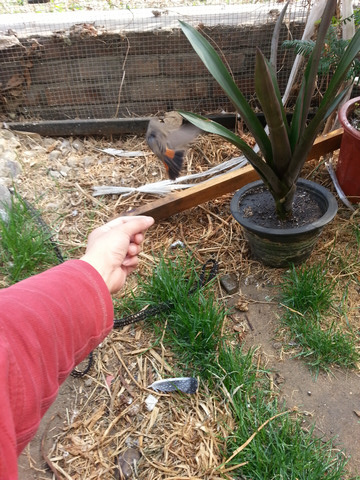 20130421_151159.jpg