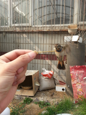 20130421_152004.jpg