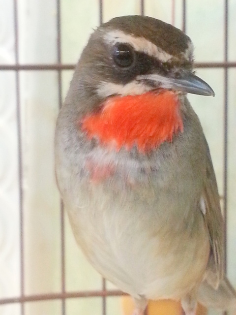 20130330_152920.jpg