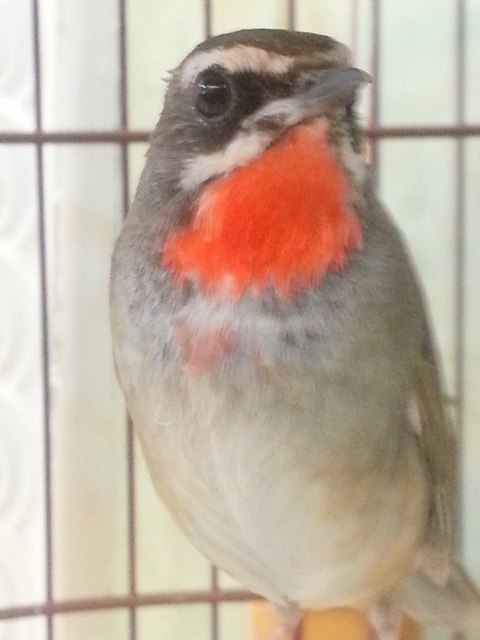 20130330_152922.jpg