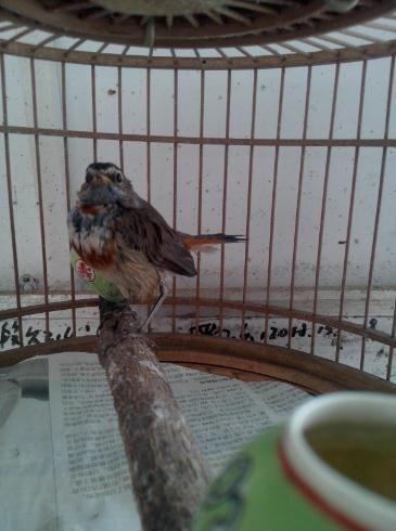 IMG20130421008.jpg