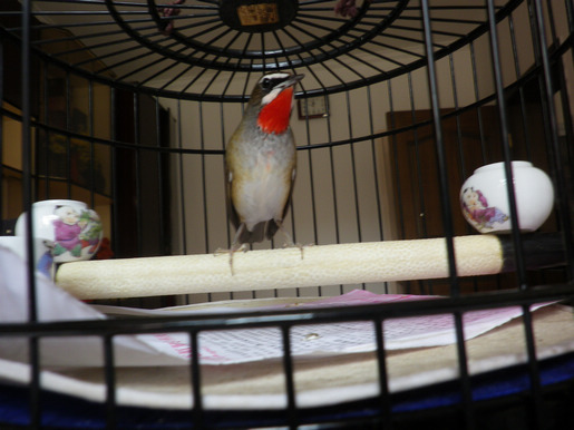 IMGP2604.JPG