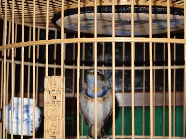 DSC00151.JPG