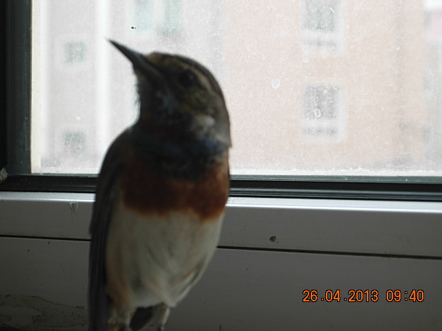 DSCN2099.JPG