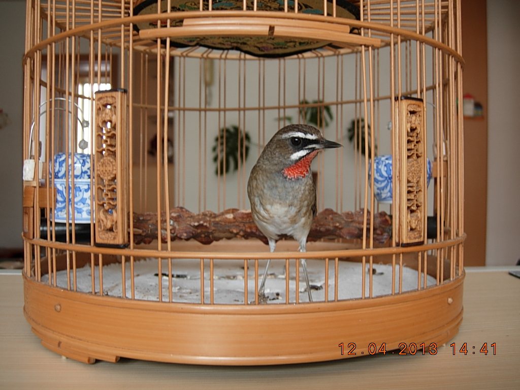 DSCN1503.jpg