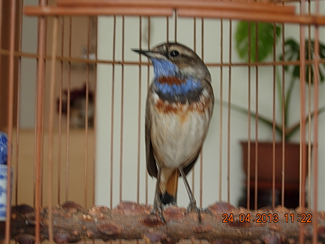DSCN1861.JPG