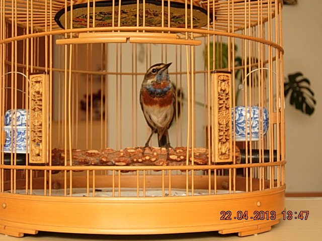 DSCN1752.JPG