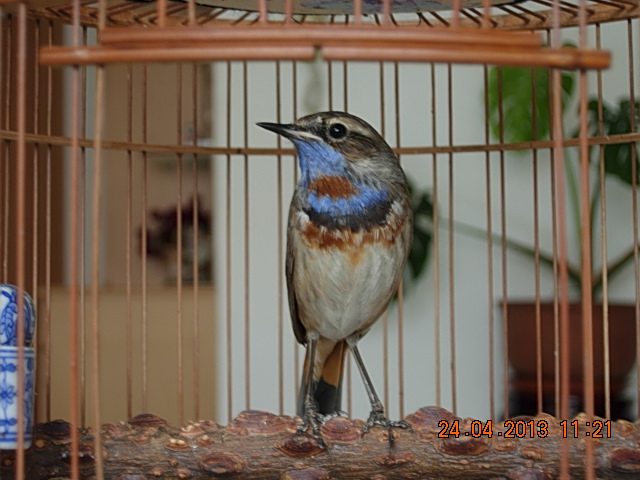 DSCN1856.JPG
