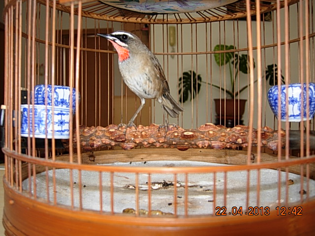 DSCN1724.JPG